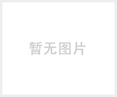 法兰安全阀